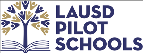 Pilot Schools